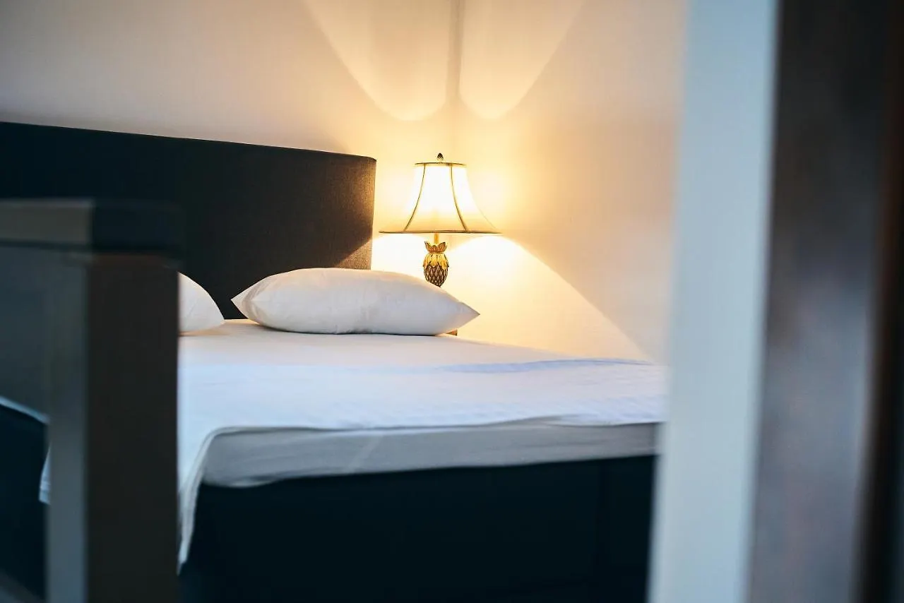 Pensionat Residence Villa Barrio Bukarest
